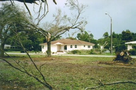 Miami Springs Ground Hog Day Tornado Aftermath