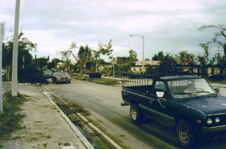 Miami Springs Ground Hog Day Tornado Aftermath