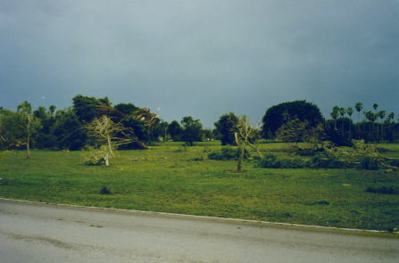 Miami Springs Ground Hog Day Tornado Aftermath