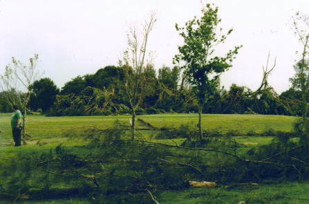 Miami Springs Ground Hog Day Tornado Aftermath