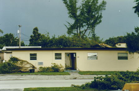 Miami Springs Ground Hog Day Tornado Aftermath