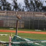 Protected Owls call MSSH Home