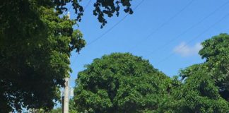 Police involved shooting