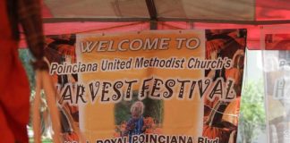 Pumpkin Patch Opens Oct 12