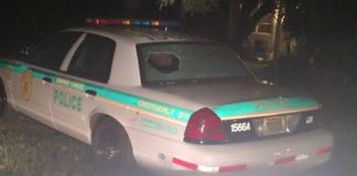 Police Car Vandalized in Springs