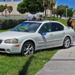 Burglary Suspects Shot in Springs