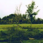 1998 Miami Springs Tornado