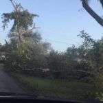 Storm Leaves Destruction and Damage