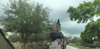 Hurricane Debris Pickup May Go Past Halloween Irma Cleanup