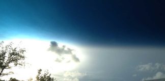 Royal Poinciana Train Track Crossing CLOSED through Tuesday Miami Springs Train