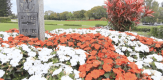 VIDEO: Tour the Miami Springs Golf Course