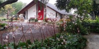 Say it Ain’t So:  All Angels Academy Closing in January All Angels