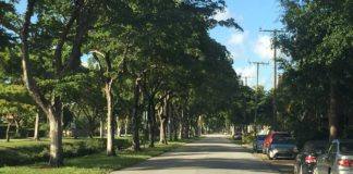 Coronavirus Mid-Day Update: 148 Hospitalized in Miami-Dade – No New Deaths