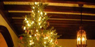 Christmas Tree Sale Starts Thanksgiving Day