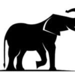 elephant-logo-300×187.jpg