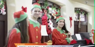 Curtiss Mansion Teddy Bear Tea featured on NBC 6