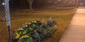 No More Lime Bikes LIME BIKES DOWN