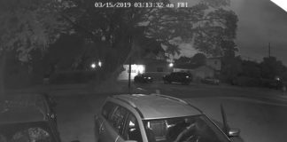 Alleged Car Burglar Caught on Camera