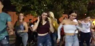 2019 Festival: Great Weather – Great Friends – Great Food – Great Fun!