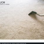 gCarpetSteamCleaning1.jpg