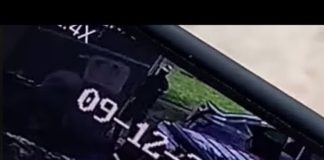 Video Captures Alleged Crook Stealing Garden Equipment from Trailer on Falcon Ave