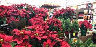 Milam’s Prepares for Holidays