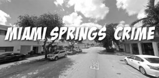 November Crime Summary Miami Springs Crime
