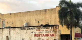 Should City Buy Stadnik Building Downtown Demolition