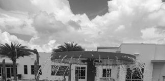 Dog Park Opens – Lap Swimming at Pool – Youth Sports