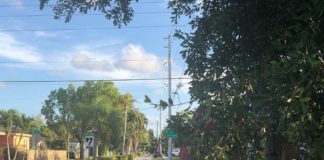 Quick Response Makes Driving Safe