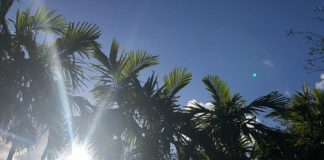 87 Local COVID Cases in our Area Gorgeous Weekend in Miami Springs