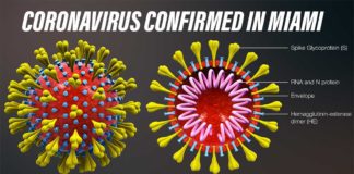 1st Case of Coronavirus Confirmed in Miami-Dade County CORONAVIRUS CONFIRMED MIAMI-DADE