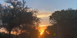 Miami-Dade COVID Fatalities by Age Group