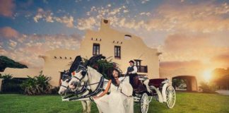 Curtiss Mansion Photoshoot Giveaway