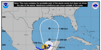 Tropical Storm Cristobal Forms in the Gulf