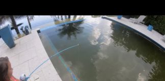 Fishing during the Flood