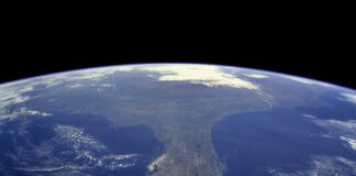 For ‘Florida Man’ the Opportunities are Endless Florida Man