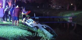 VIDEO:  Man Rescued from Car in Miami Springs Canal