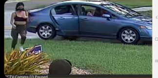 More Sign Stealing Caught on Camera