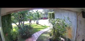 Reminder: Sign Stealing is a Crime