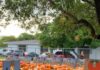 Pumpkin Patch Now Open