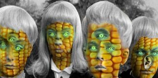 How to Get Children to Eat Their Vegetables; and Other Fantasies