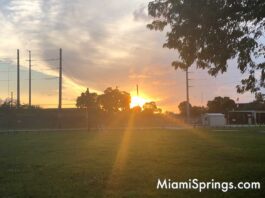 Miami Springs Driver's License Renewals Are Back! – MiamiSprings