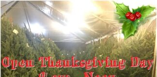 Optimist Club Christmas Tree Sale