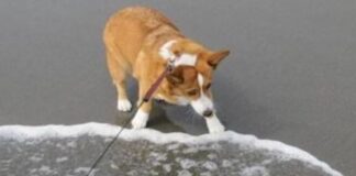 Water, water everywhere…… are we prepared?