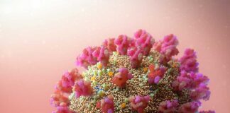 Record Spike Statewide and Locally COVID-19 CORONAVIRUS