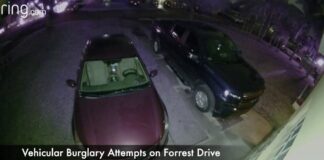 Gang of Vehicle Burglars Caught on Camera