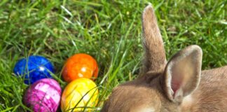 Miami Springs Easter Egg Drop