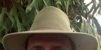 Paul Bithorn, Former VG Mayor, Bird Lover, Passes Away Paul Bithorn