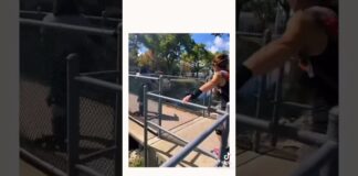 Rollerblading in Miami Springs